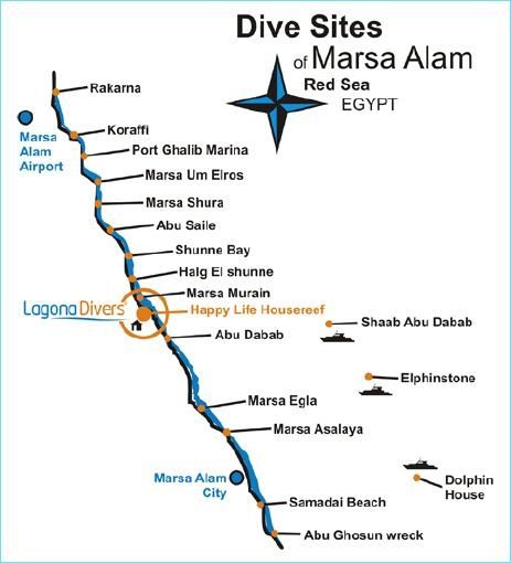 Tauchausflüge in Marsa Alam für 1 Tag