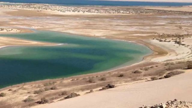 Wadi Al Hitan κοιλάδα φαλαινών μια μέρα στην άλλη Ταξίδι από το Κάιρο