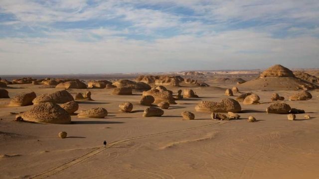 Wadi Al Hitan κοιλάδα φαλαινών μια μέρα στην άλλη Ταξίδι από το Κάιρο