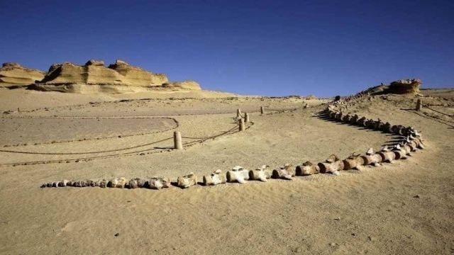 El Cairo, Alejandría y el desierto blanco Viaje mágico en 9 días