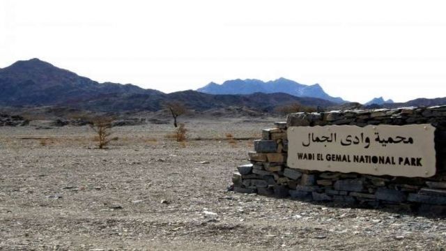 Excursion a Wadi El Gemal desde El Quseir