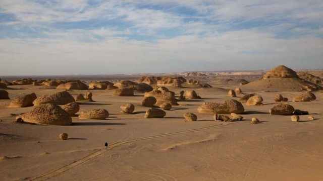 Excursion de 2 dias al oasis de Fayoum y Wadi el Hitan desde Sahel Hashesh