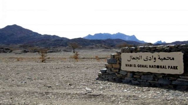 Excursiones de Wadi El Gemal en Marsa Alam