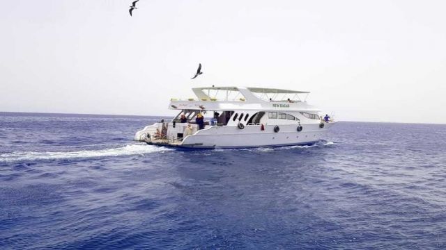 Excursiones de esnórquel en Utopía Island en Hurghada