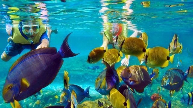 Excursiones de esnórquel en Utopía Island en Hurghada