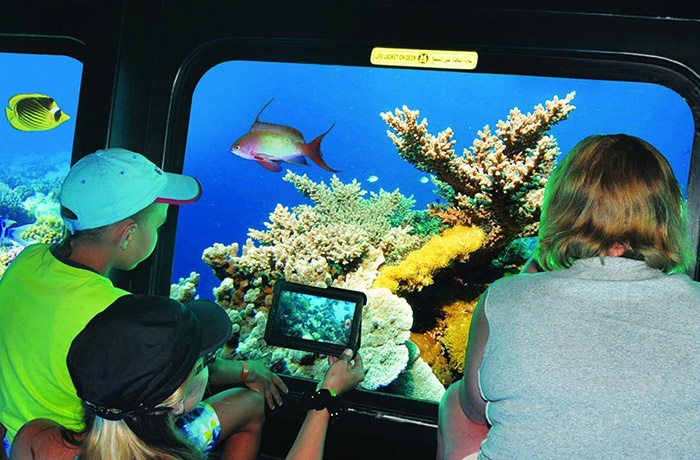 Excursiones en submarino desde Sahel Hashesh