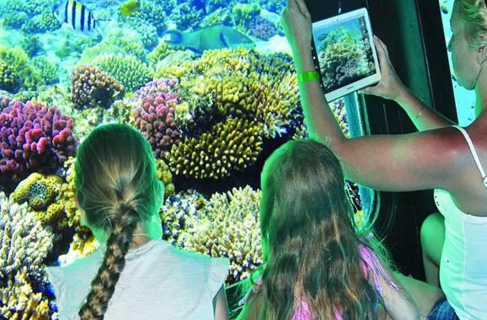 Excursiones en submarino desde Sahel Hashesh