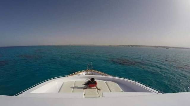 Excursión de esnórquel a la casa de los delfines en el arrecife Sataya desde Marsa Alam