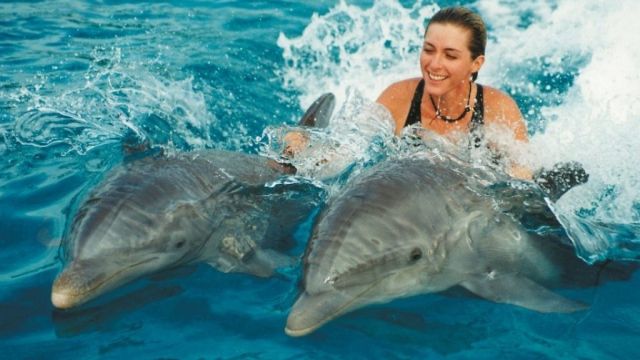 Excursión de nadar con delfines desde Hurghada