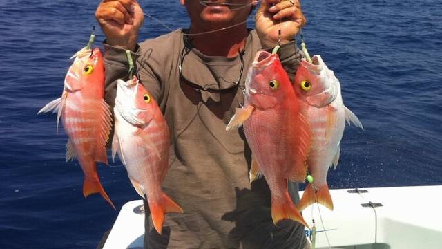 Excursión de pesca en Hurghada