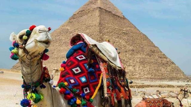 Excursión de un día a las Pirámides de Giza desde el puerto de Said