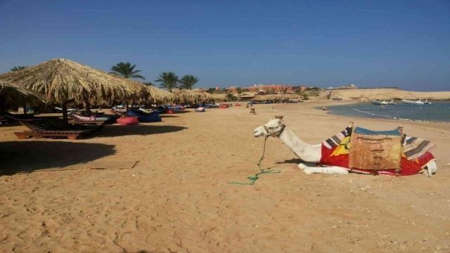 Excursión de un día de esnórquel a Sharm el Naga desde Hurghada