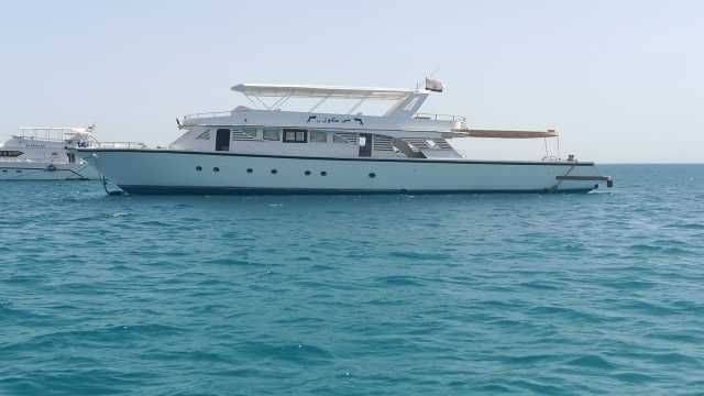 Excursión en barco privado al Dolphin House desde Hurghada