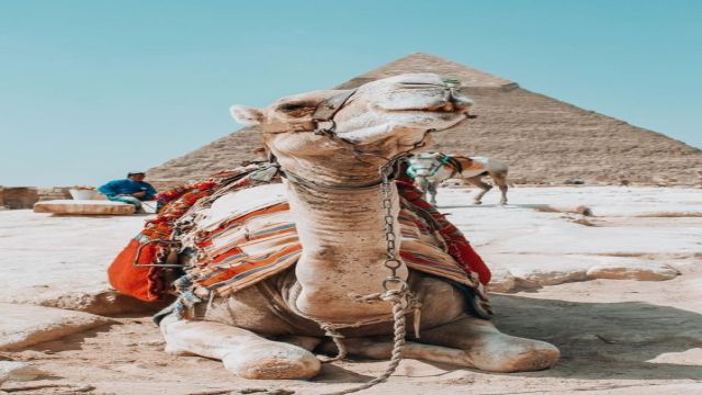 Excursión privada a las pirámides desde Hurghada en vehículo privado