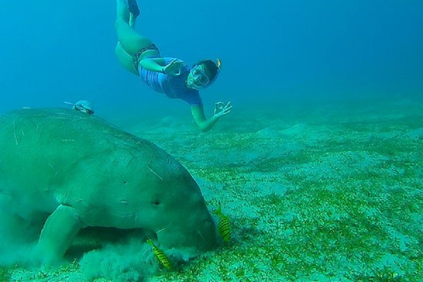 Itinerario de 14 días en Egipto El Cairo Oasis de Siwa Crucero por el Nilo y el Mar Rojo Itinerario de 14 días en Egipto El Cairo Oasis de Siwa Crucero por el Nilo y el Mar Rojo