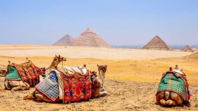 Itinerario de 15 días en Egipto El Cairo, los oasis y el desierto occidental