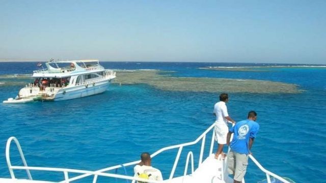 Paseo en barco privado al Dolphin Reef desde Marsa Alam