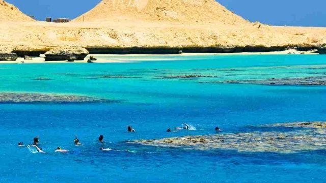 Tour de esnorquel en Paradise Island desde Makadi