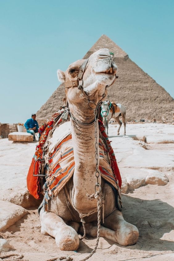 Tour privado a las piramides desde Damietta en vehiculo privado