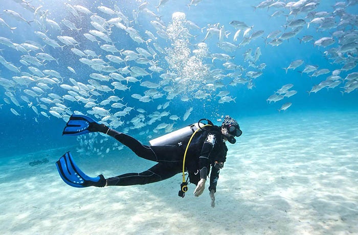 Tours de buceo desde El Quseir