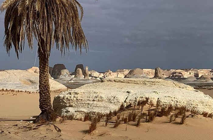 Tours de safari por el desierto desde El Cairo Egipto