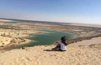 Excursion de un dia a Wadi al Hitan desde el Oasis de Fayoum