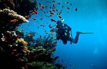 Excursión de buceo desde Hurghada