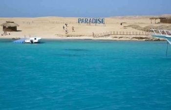 Excursión de esnórquel en Paradise Island desde Hurghada