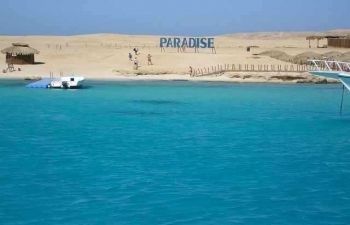 Tour de esnorquel en Paradise Island desde Sahel Hashesh