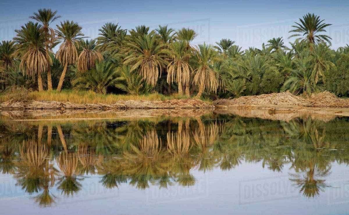 Paquete turístico de 7 días El Cairo Alejandría y Siwa desde El Cairo