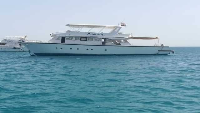 Excursion privée en bateau de plongée en apnée à la maison des dauphins depuis Hurghada