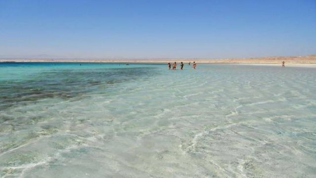 Excursions de plongée en apnée à Sharm El Luli au départ de Marsa Alam Tours