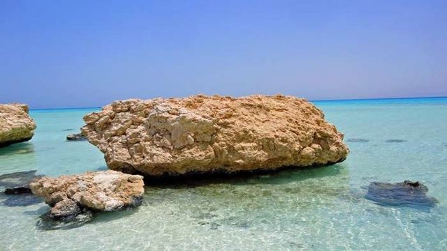 Excursions de plongée en apnée à Sharm El Luli au départ de Marsa Alam Tours