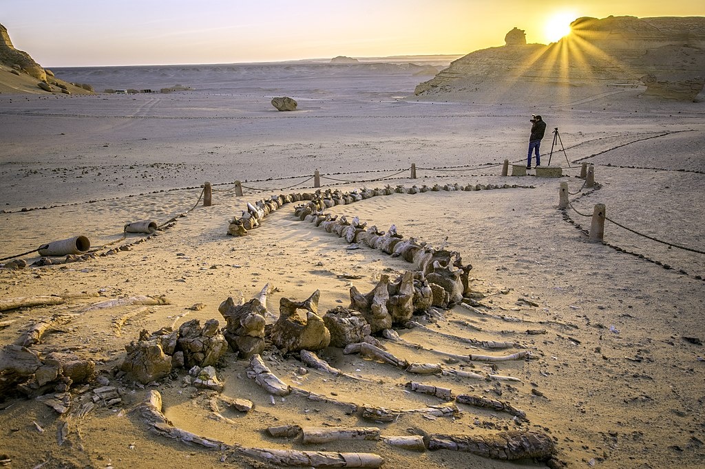 Itineraire de 10 jours en Egypte pour une croisiere sur le Nil et le desert blanc