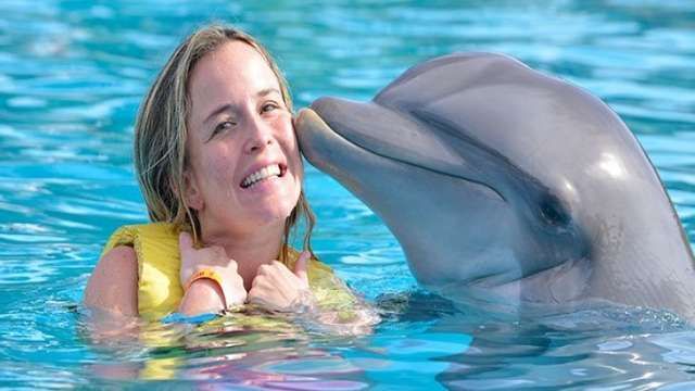 Nager avec les dauphins à Charm el Cheikh