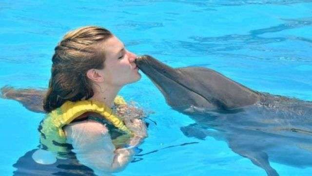 Nager avec les dauphins à Charm el Cheikh