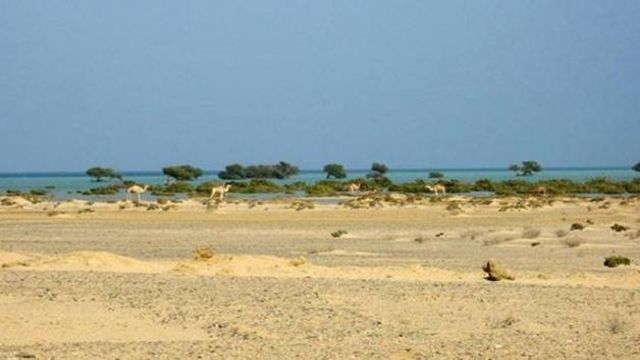 Shalateen Tour De Marsa Alam