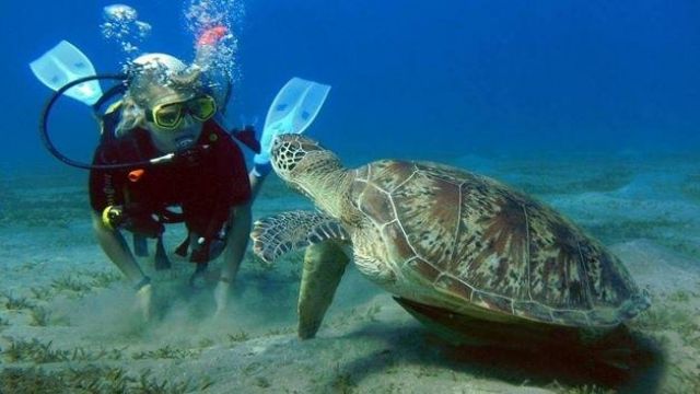 journée de plongée sous marine Makadi Egypte Mer Rouge