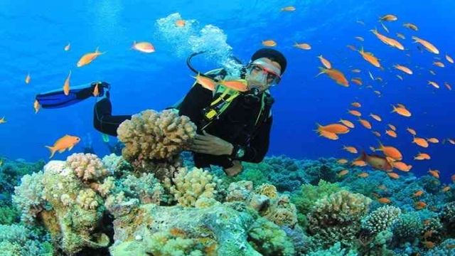 journée de plongée sous marine Makadi Egypte Mer Rouge