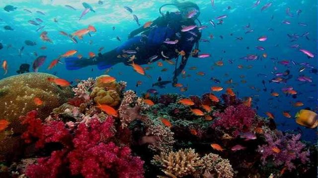 journée de plongée sous marine Makadi Egypte Mer Rouge