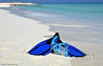 Excursions de plongée en apnée à Sharm El Luli au départ de Marsa Alam Tours