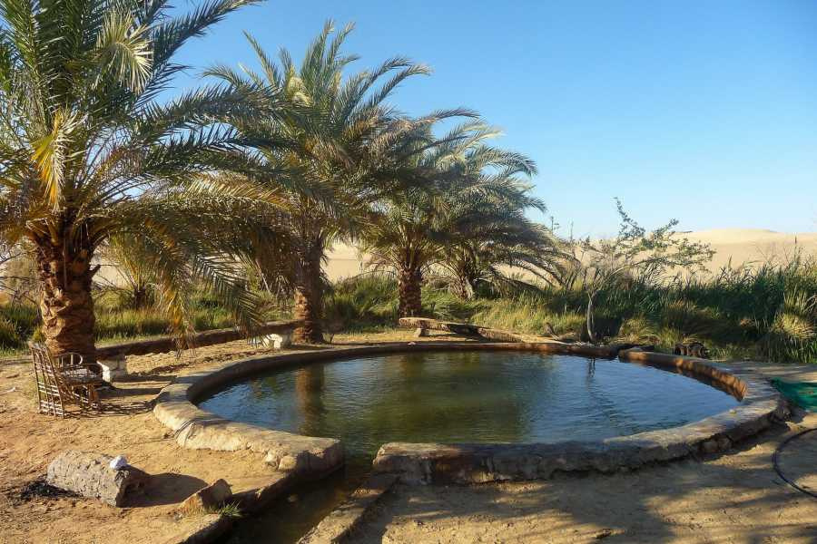 Excursion de 2 jours à loasis de Siwa depuis le Caire