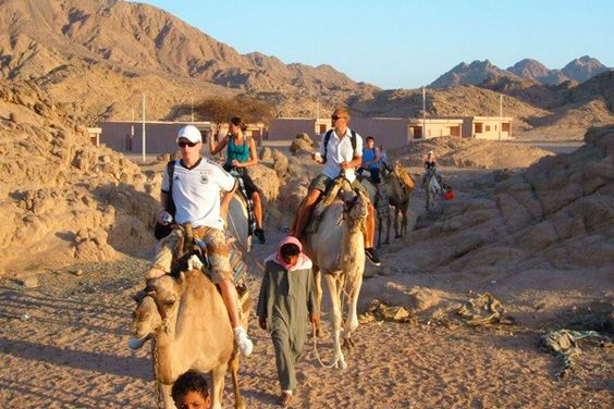 Golden Safari Tour de Charm el Cheikh