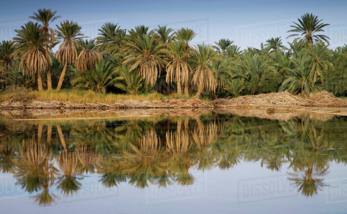 Top 10 Attractions in Siwa oasis 