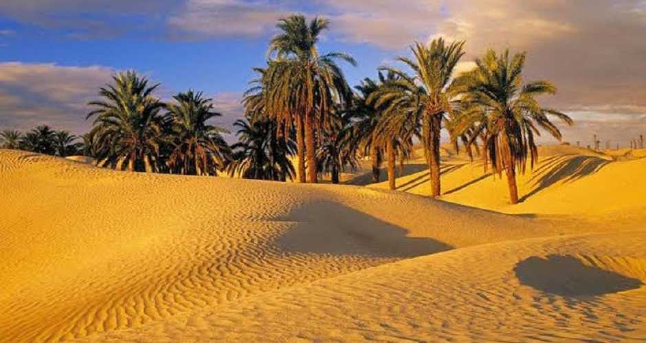 Top10 Attractions in Fayoum oasis 