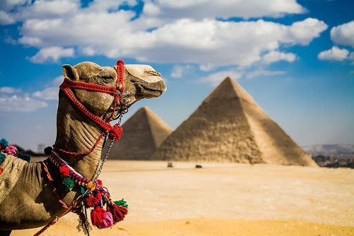 11 days Egypt Itinerary Cairo Aswan Luxor and Marsa Alam