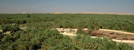 5 Day Trip to Siwa Oasis from Cairo
