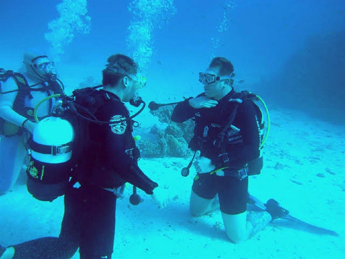 Day Scuba Diving Tour From Sharm EL Sheikh Port 