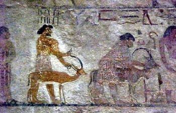 Day trip to Al Minya from Luxor