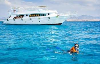 Private boat Snorkeling trip to Tiran Island